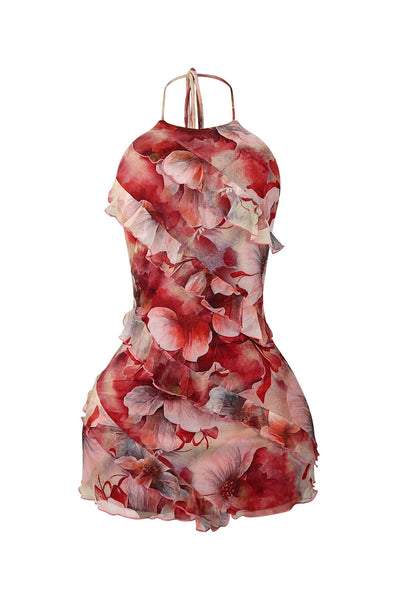 Velvet Dream Mesh Maxi Dress
